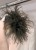 IMG_2574.jpeg